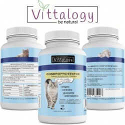 Vittalogy Chondroprotector for Cats 2x120 Capsules【SAVINGS PACK】