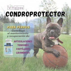 Vittalogy Chondroprotector Dog 3x120 Capsules