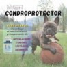 Vittalogy Chondroprotector Dog 3x120 Capsules