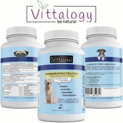 Vittalogy Chondroprotector for Dogs 3x120 Capsules【SAVINGS PACK】