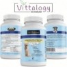 Vittalogy Chondroprotector for Dogs 3x120 Capsules【SAVINGS PACK】