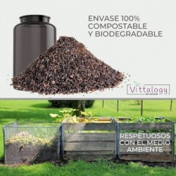 Vittalogy Vitamina D3 Premium Vegan 3x90 Cápsulas【PACK AHORRO】