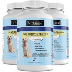 Vittalogy Chondroprotektor Hund 3x120 Kapseln