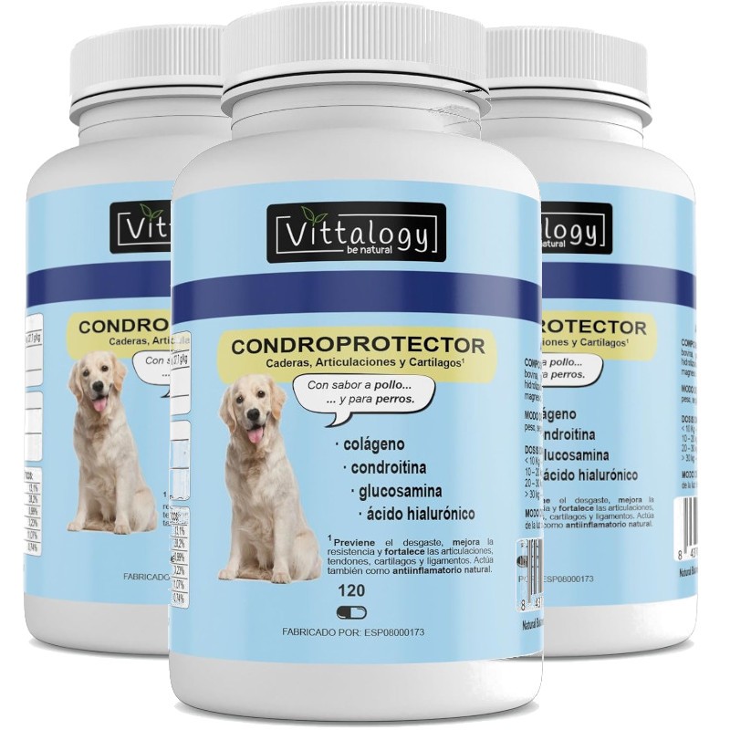 Vittalogy Condroprotettore Cane 3x120 Capsule Vittalogy Condroprotettore Cane 3x120 Capsule