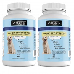 Vittalogy Chondroprotector Dog 2x120 Capsules