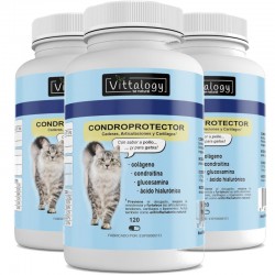 Vittalogy Chondroprotektor Katze 3x120 Kapseln