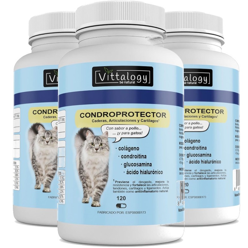 Vittalogy Chondroprotector Cat 3x120 Capsules Vittalogy Chondroprotector Cat 3x120 Capsules