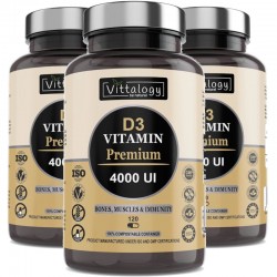 Vittalogy D3 Vitamin Premium 4000UI 3x120 Cápsulas【PACK AHORRO】