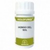 Equisalud Holofungi Champignon Solaire 50 Gélules