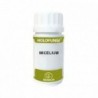 Equisalud Holofungi Micelium 50 Kapseln
