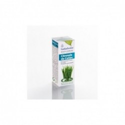 Esential Aroms Huile Essentielle Bio Citronnelle de Ceylan 10 ml