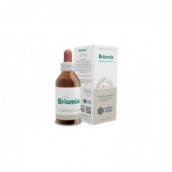 Forza Vitale Briomix Ginseng Composto Extracto 100 ml