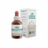 Forza Vitale Les Juniperus Communis Genévrier 50 ml