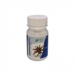 Ghf Harpagofito 500 mg 100 Comprimidos