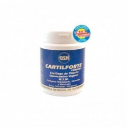 Gsn Cartilforte Complexe Chocolat 340g