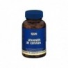Levedura de Cerveja Gsn 500 mg 150 Comprimidos