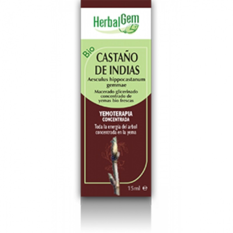 Herbalgem Castanha da Índia Macerada Glicerinada 50 ml Herbalgem Castanha da Índia Macerada Glicerinada 50 ml