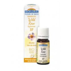 Biofloral Rose Sauvage - Rose Musquée 37 (Vitalité et Joie de Vivre) Fleurs de Bach Bio Granulés Sans Alcool 9 g