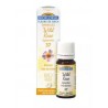 Biofloral Rose Sauvage - Rose Musquée 37 (Vitalité et Joie de Vivre) Fleurs de Bach Bio Granulés Sans Alcool 9 g