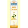 Biofloral Châtaignier Blanc - Marron d'Inde 35 (Vitalité et Joie de Vivre) Fleurs de Bach Bio Granulés Sans Alcool 9 g
