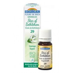 Biofloral Star Of Bethlehem - Leche de Gallina 29 (Ánimo y Esperanza) Flores de Bach Bio Gránulos Sin Alcohol 9 g