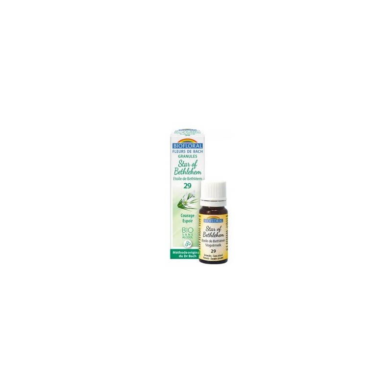 Biofloral Star Of Bethlehem - Leite de Frango 29 (Encorajamento e Esperança) Bio Bach Flowers Grânulos Sem Álcool 9 g