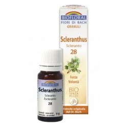 Biofloral Scleranthus - Scleranthus 28 (Willpower) Bio Bach Flowers Alcohol-Free Granules 9 g