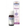 Chicória Biofloral - Chicória 8 (Compreensão e Aceitação) Bio Bach Flowers Grânulos Sem Álcool 9 g