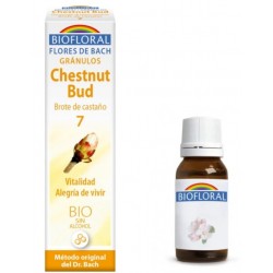 Biofloral Chestnut Bud - Chestnut Bud 7 (Vitalidade e Alegria de Viver) Bio Bach Flowers Grânulos Sem Álcool 9 g