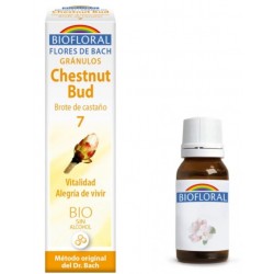 Biofloral Chestnut Bud - Chestnut Bud 7 (Vitalità e Gioia di Vivere) Fiori di Bach Bio Granuli Senza Alcool 9 g