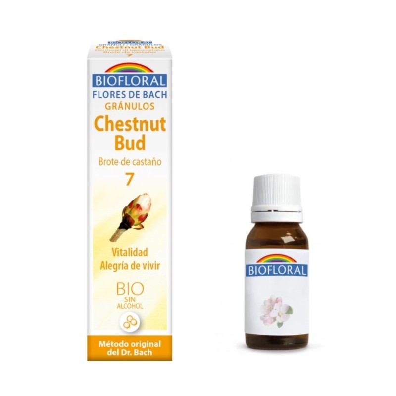Biofloral Chestnut Bud - Chestnut Bud 7 (Vitalità e Gioia di Vivere) Fiori di Bach Bio Granuli Senza Alcool 9 g