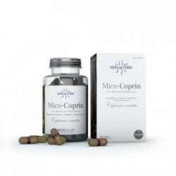 Hifas Da Terra Mico-Coprin 93 Cápsulas