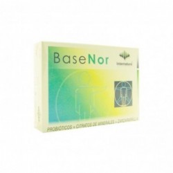 Internature Basenor 60 Capsules