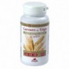 Intersa Germe de Trigo Biovitamina E 50 Pérolas