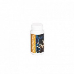 Intersa Harpagophytum 60 Capsules
