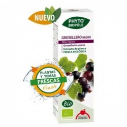 Intersa Phyto Biopole Black Currant 50 ml
