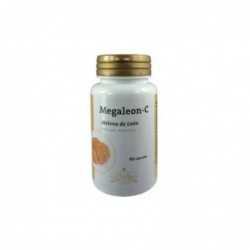 Jellybell Megaleon C (Lion's Mane) 60 Capsules