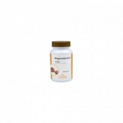 Jellybell Meganoderma-C 750 mg 60 Capsules