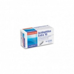 Lamberts Acidophilus Extra 10 60 Kapseln