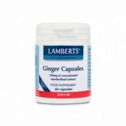 Lamberts Ginger Jengibre 60 Cápsulas