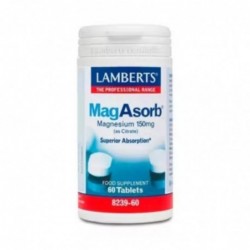 Lamberts MagAbsorb 60 Tabletten