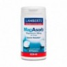 Lamberts MagAbsorb 60 Tabletten