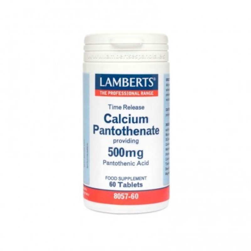 Lamberts Calciumpantothenat 500 mg 60 Tabletten Lamberts Calciumpantothenat 500 mg 60 Tabletten