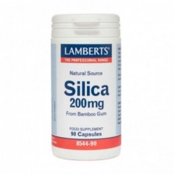 Lamberts Silica (Silicio) 200 mg 90 Cápsulas