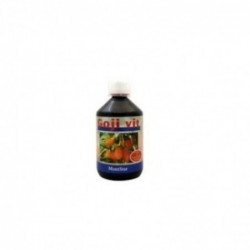 Montstar Goji Vit Jugo 500 ml