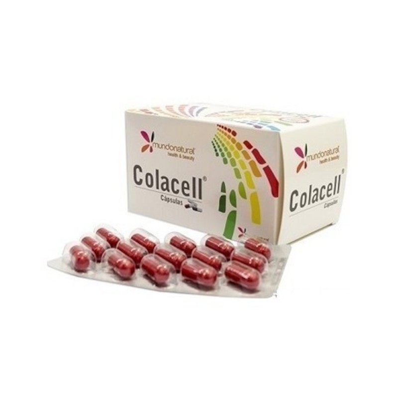 Natural World Colacell 90 Kapseln Natural World Colacell 90 Kapseln