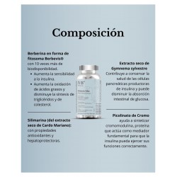 IVB Metabolic-Max 60 Cápsulas