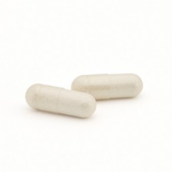 Just Elements Vitamin C 1000 mg with delayed action AndGo 120 caps