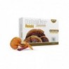 Noefar Reishi 30 Kapseln