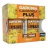 Novity Garcinia Gambogia Plus Pacote 60+60 Comprimidos
